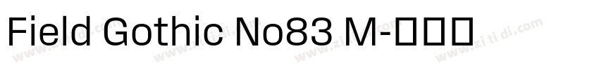 Field Gothic No83 M字体转换